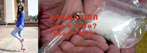 гашик Вязьма