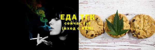 гашик Вязьма