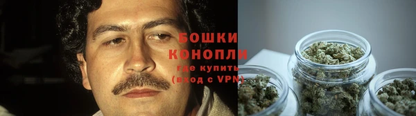 гашик Вязьма