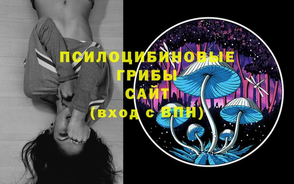 гашик Вязьма