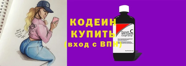 гашик Вязьма