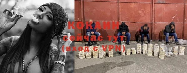 гашик Вязьма