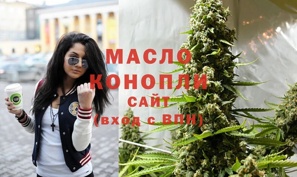 гашик Вязьма